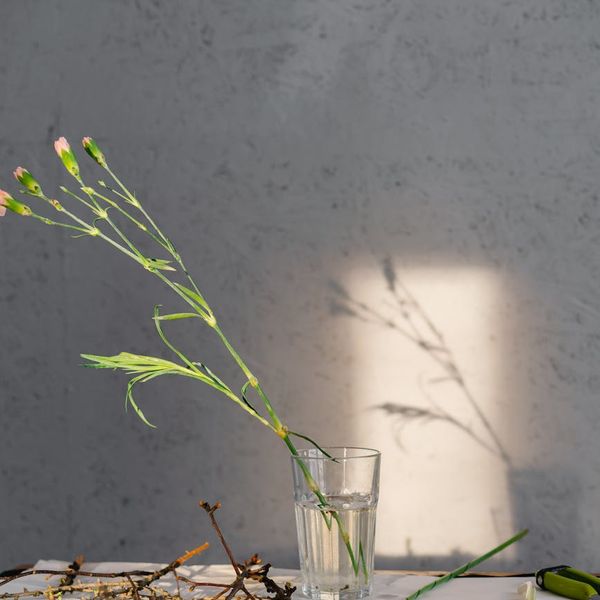 Person meditating peacefully in a bright, modern space.